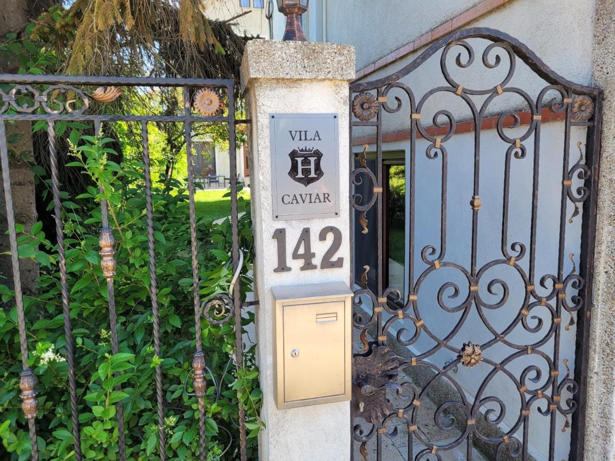 Vila Caviar Otel Sulina Dış mekan fotoğraf